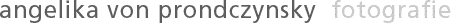 prondczynsky-logo