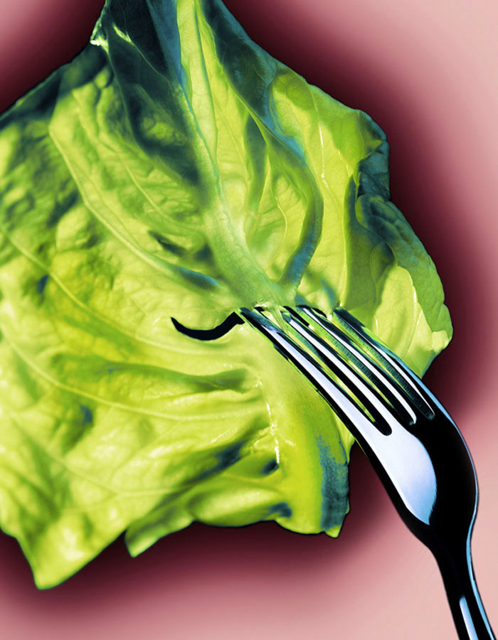 xsalat.jpg